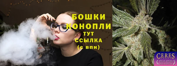 стафф Козельск