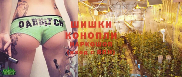 стафф Козельск