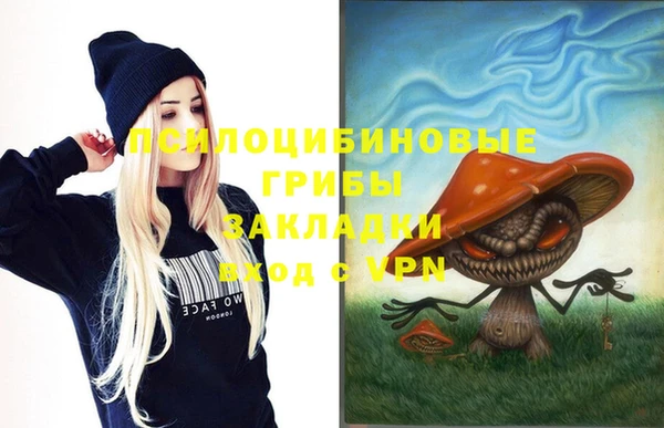 стафф Козельск
