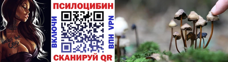 Псилоцибиновые грибы прущие грибы  Купить  Бронницы 